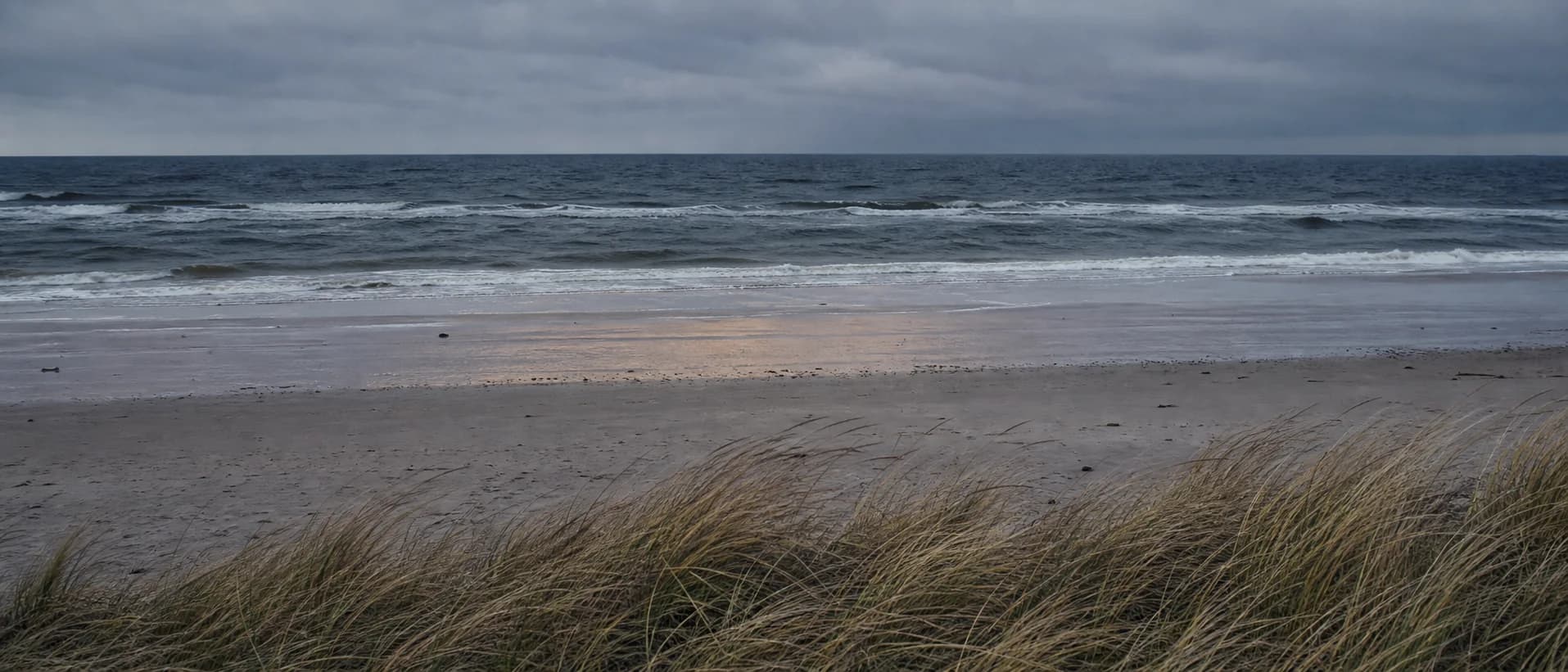 Mörkblått hav, våt sand och vindböjda strandgräs under en molnig himmel.